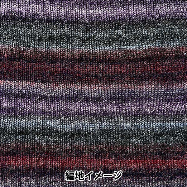 Siena Yarn No.4, Fall/Winter - Yuzawaya World Festa