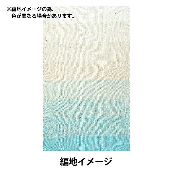 Spring / summerYarn "Wonder Cotton Spica 110 Color Sax"