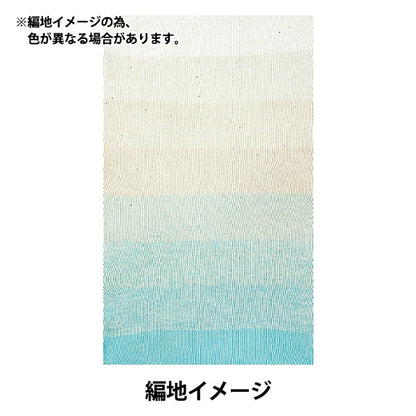 Spring / summerYarn "Wonder Cotton Spica 110 Color Sax"